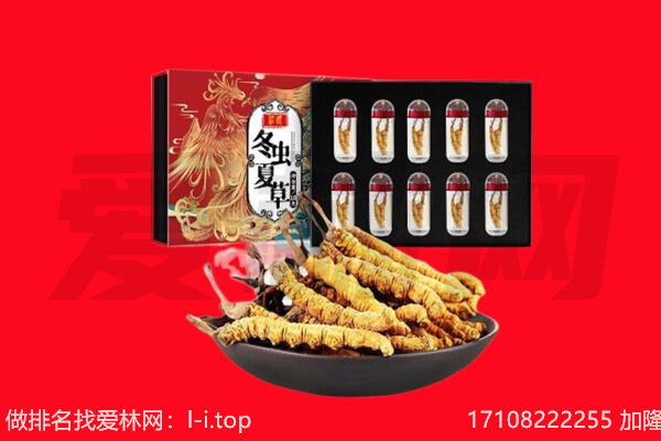 山南措美县回收虫草.jpg